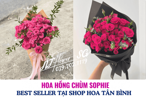 Hoa Hồng Chùm Sophie “Best Seller” Tại Shop Hoa Tươi Quận Tân Bình